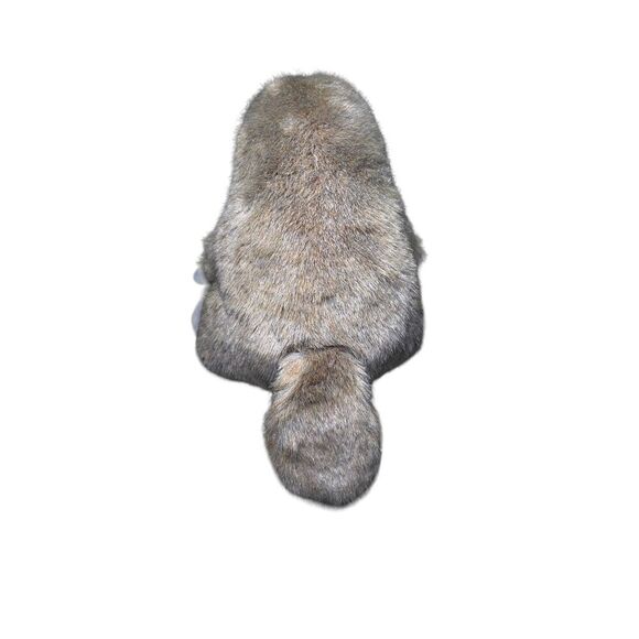 New Anico International Soft Blue Eyes 10” Platypus Plush Stuffed Animal - Picture 8 of 16